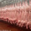 Frozen Pork