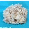Raw Wool